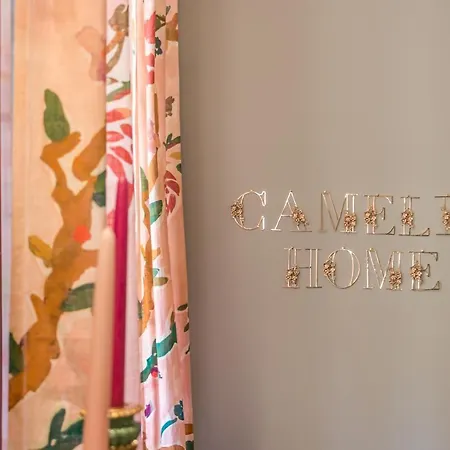 Camelia * Τρεβίζο