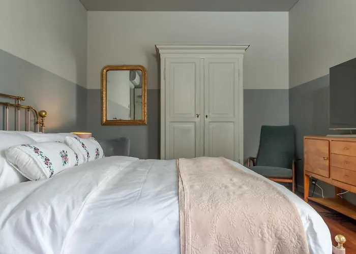 Camelia * טרוויסו